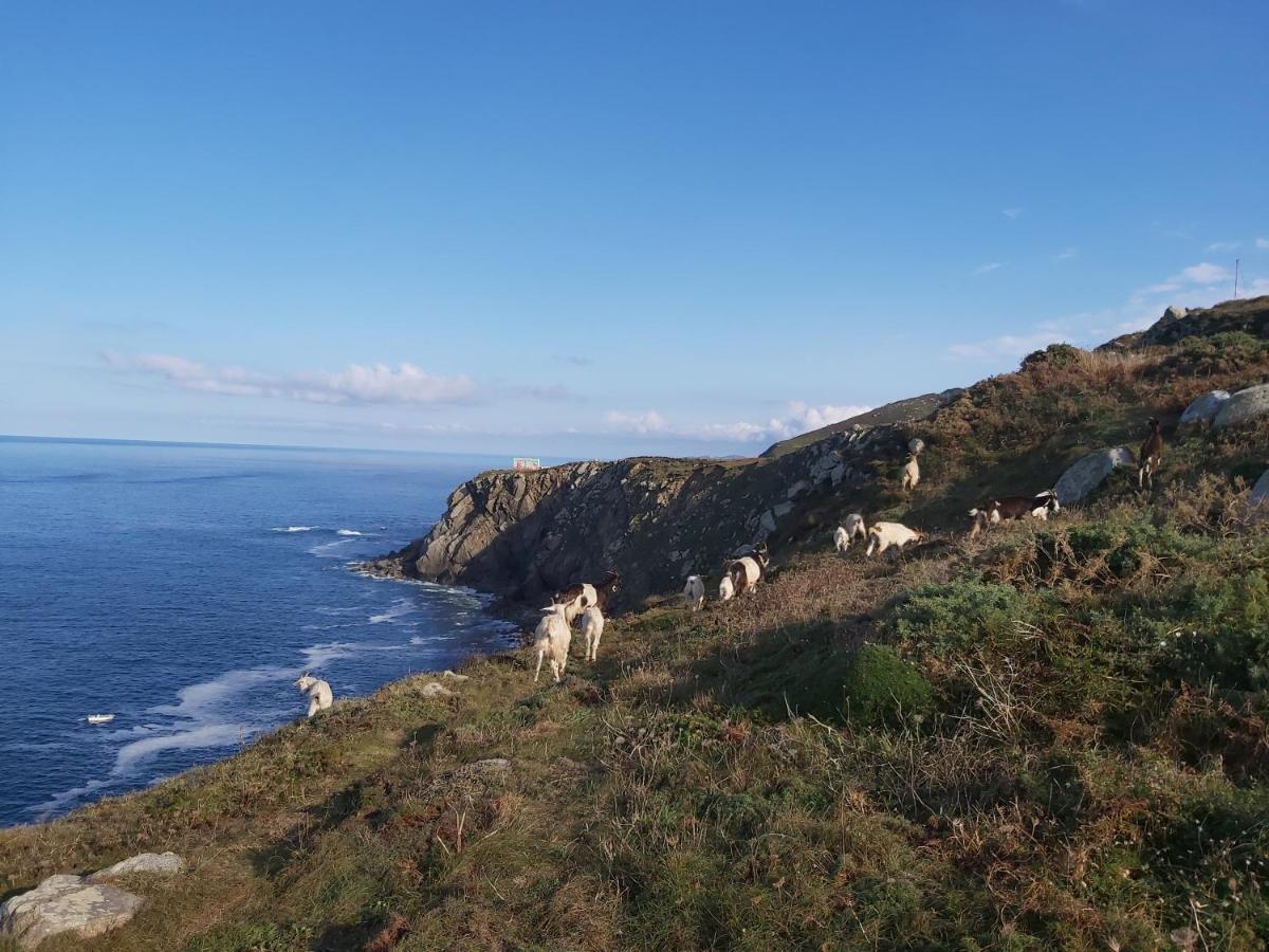 Hostal O Forno Porto do Barqueiro Luaran gambar